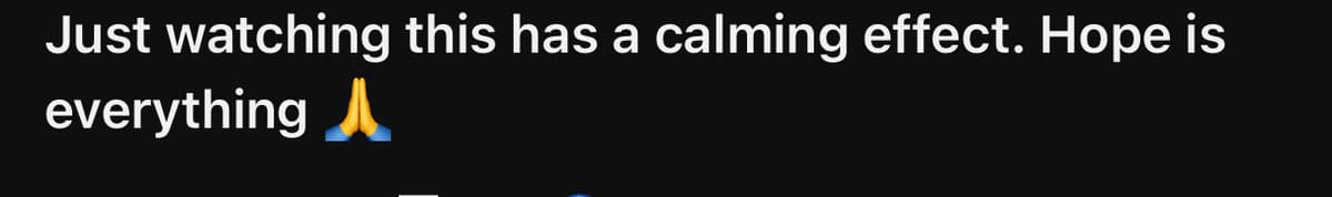 Tinnitus Companion review 1