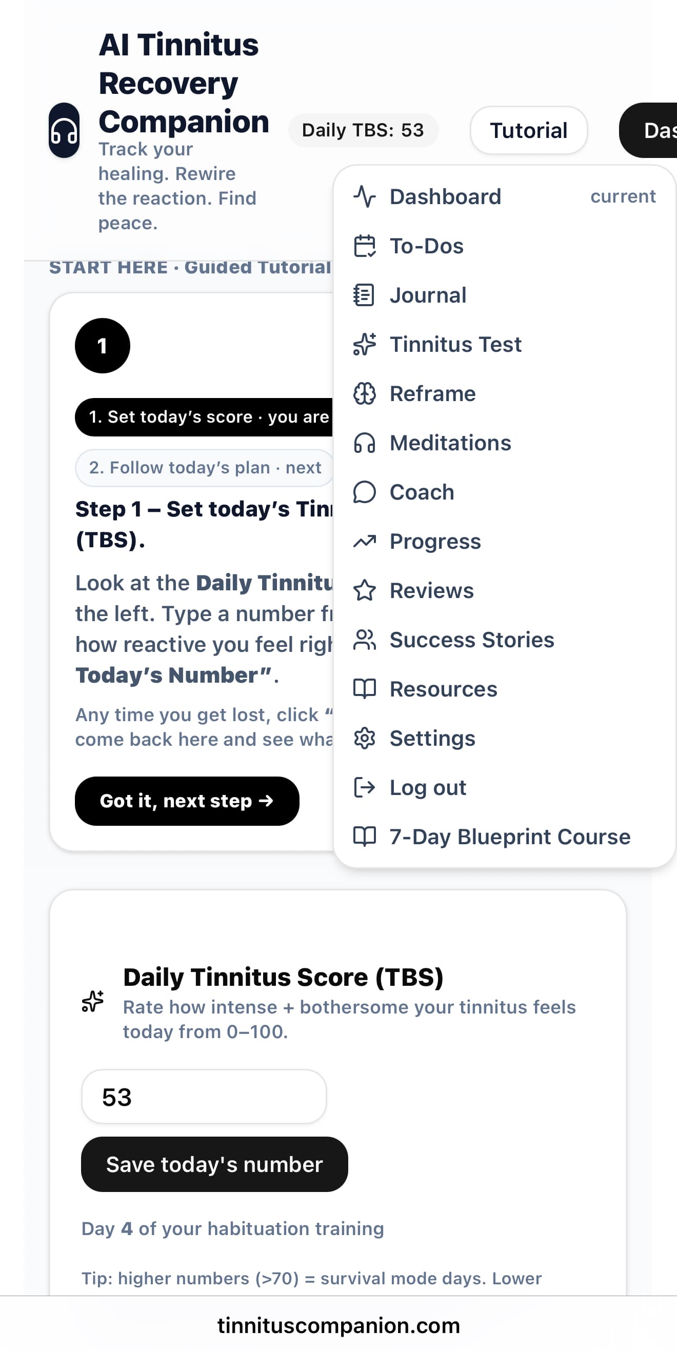 Tinnitus Companion web app interface